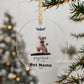 Dog Memorial Ornament – Pet Loss Sympathy Gift, Schnauzer Remembrance Keepsake