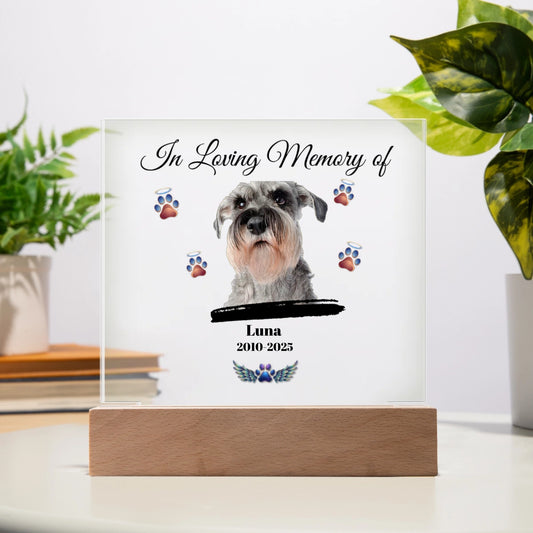 In Loving Memory of | Personalized Pet Memorial Acrylic Plaque